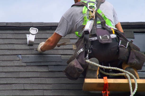 Best Roof Gutter Cleaning  in Bristol, VA