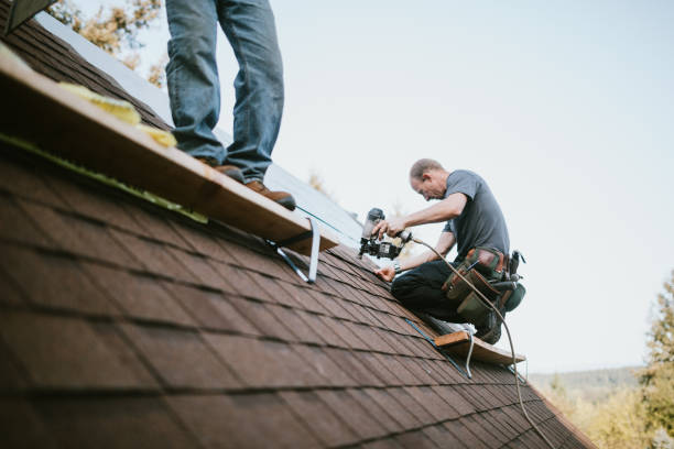Roof Gutter Cleaning in Bristol, VA